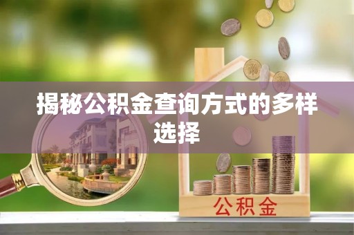 林边揭秘公积金查询方式的多样选择