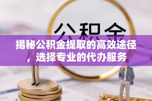林边揭秘公积金提取的高效途径，选择专业的代办服务