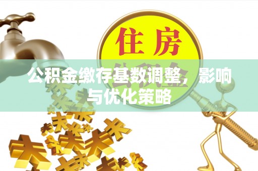 林边公积金缴存基数调整，影响与优化策略
