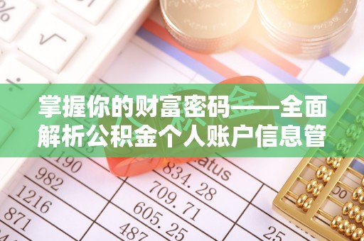 林边掌握你的财富密码——全面解析公积金个人账户信息管理与优化