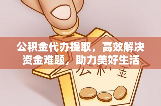 林边公积金代办提取，高效解决资金难题，助力美好生活