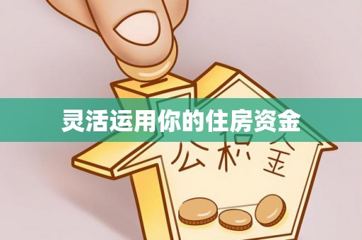 林边灵活运用你的住房资金