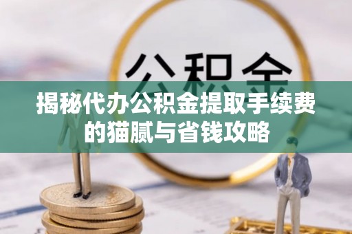 林边揭秘代办公积金提取手续费的猫腻与省钱攻略