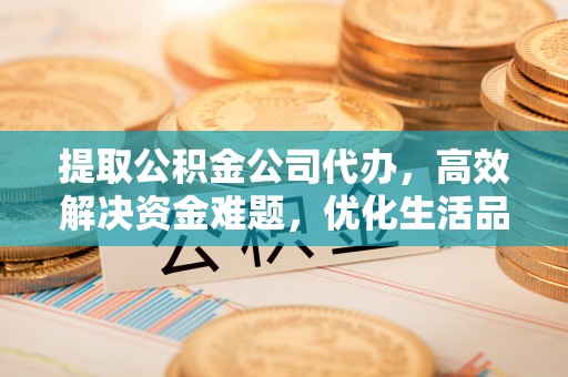 林边提取公积金公司代办，高效解决资金难题，优化生活品质