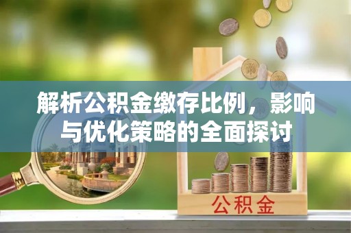 林边解析公积金缴存比例，影响与优化策略的全面探讨