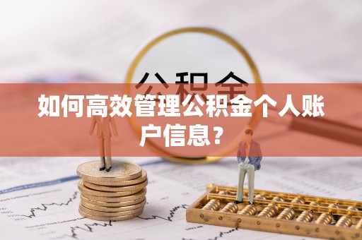 林边如何高效管理公积金个人账户信息？