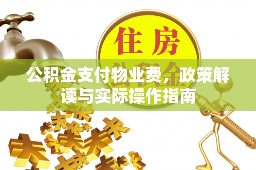 林边公积金支付物业费，政策解读与实际操作指南