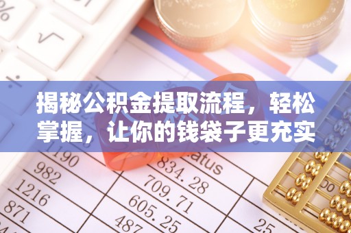 林边揭秘公积金提取流程，轻松掌握，让你的钱袋子更充实
