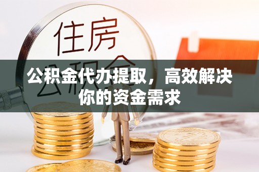 林边公积金代办提取，高效解决你的资金需求
