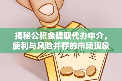 林边揭秘公积金提取代办中介，便利与风险并存的市场现象