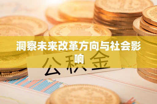 林边洞察未来改革方向与社会影响