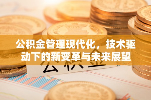 林边公积金管理现代化，技术驱动下的新变革与未来展望