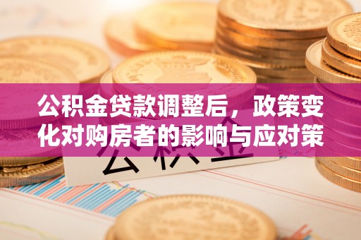 林边公积金贷款调整后，政策变化对购房者的影响与应对策略