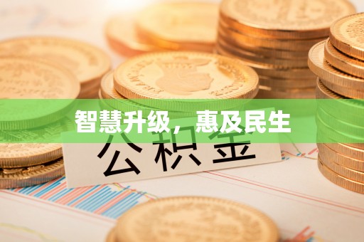 林边智慧升级，惠及民生