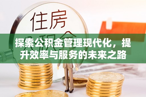 林边探索公积金管理现代化，提升效率与服务的未来之路