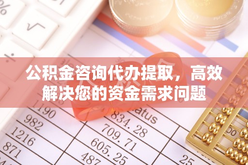 林边公积金咨询代办提取，高效解决您的资金需求问题