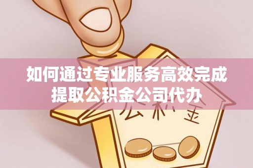 林边如何通过专业服务高效完成提取公积金公司代办