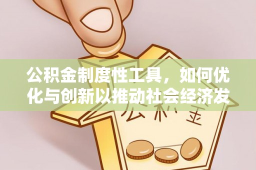 林边公积金制度性工具，如何优化与创新以推动社会经济发展