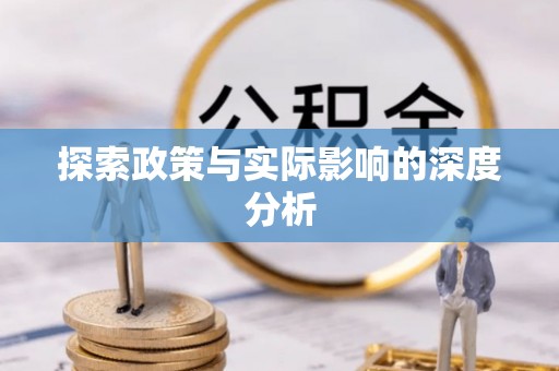 林边探索政策与实际影响的深度分析