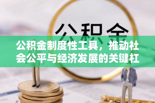 林边公积金制度性工具，推动社会公平与经济发展的关键杠杆