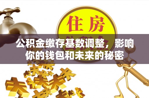 林边公积金缴存基数调整，影响你的钱包和未来的秘密
