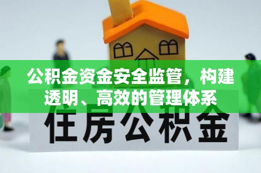 林边公积金资金安全监管，构建透明、高效的管理体系