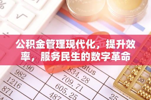 林边公积金管理现代化，提升效率，服务民生的数字革命