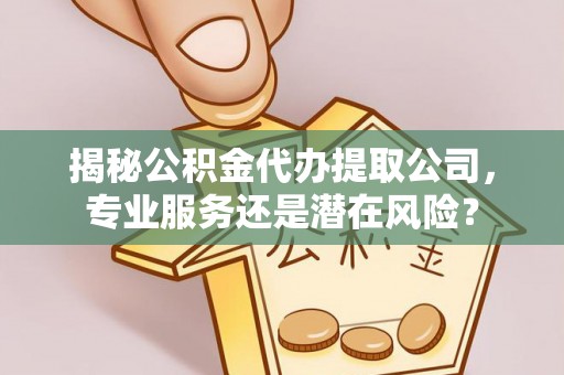 林边揭秘公积金代办提取公司，专业服务还是潜在风险？