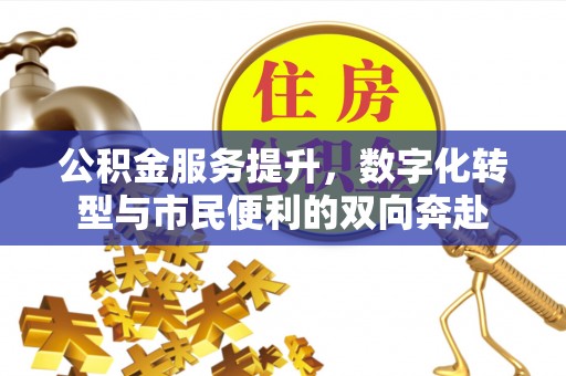 林边公积金服务提升，数字化转型与市民便利的双向奔赴
