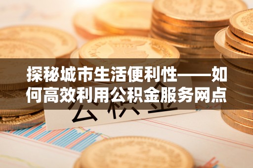 林边探秘城市生活便利性——如何高效利用公积金服务网点查询工具