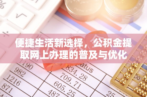 林边便捷生活新选择，公积金提取网上办理的普及与优化