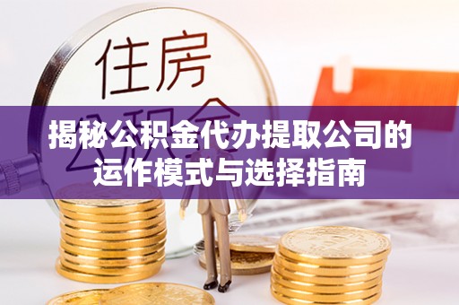 林边揭秘公积金代办提取公司的运作模式与选择指南
