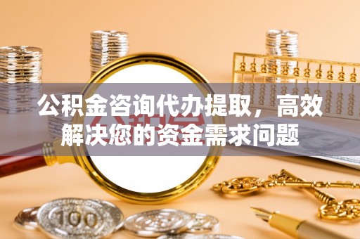 林边公积金咨询代办提取，高效解决您的资金需求问题