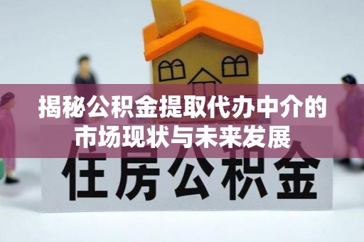 林边揭秘公积金提取代办中介的市场现状与未来发展