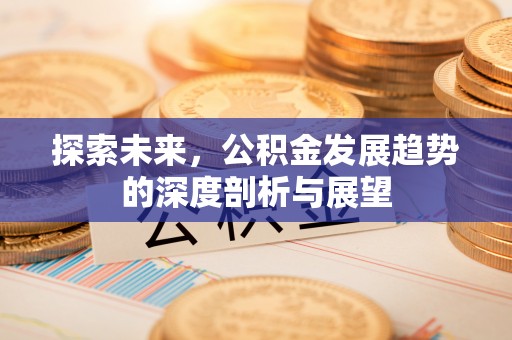 林边探索未来，公积金发展趋势的深度剖析与展望