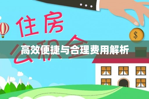 林边高效便捷与合理费用解析