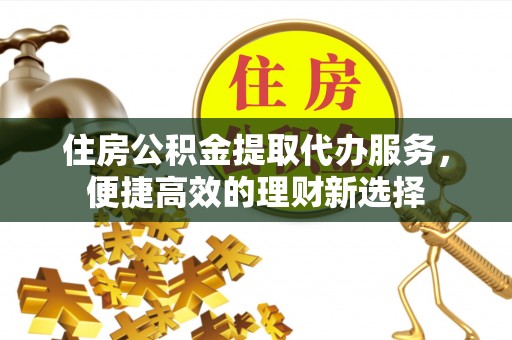 林边住房公积金提取代办服务，便捷高效的理财新选择