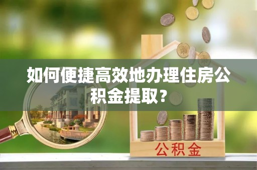 林边如何便捷高效地办理住房公积金提取？