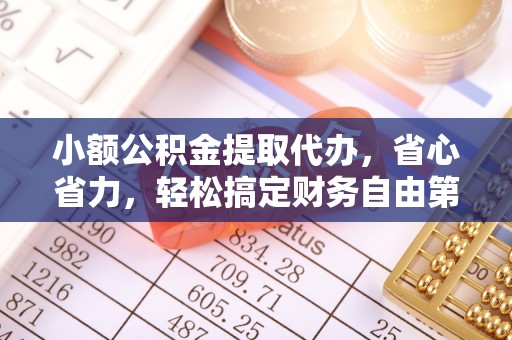 林边小额公积金提取代办，省心省力，轻松搞定财务自由第一步