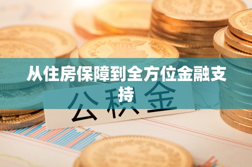林边从住房保障到全方位金融支持