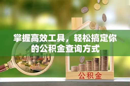 林边掌握高效工具，轻松搞定你的公积金查询方式