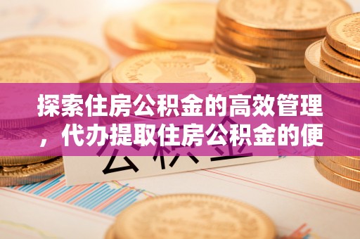 林边探索住房公积金的高效管理，代办提取住房公积金的便利与注意事项