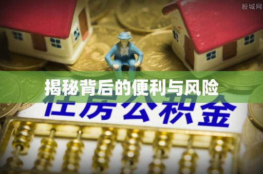 林边揭秘背后的便利与风险