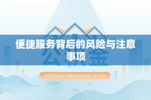 林边便捷服务背后的风险与注意事项
