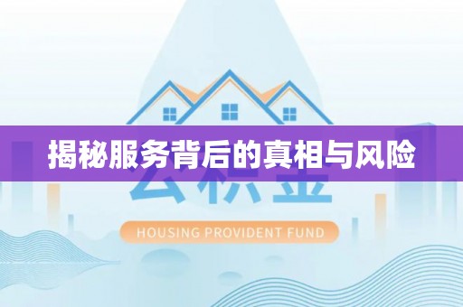 林边揭秘服务背后的真相与风险